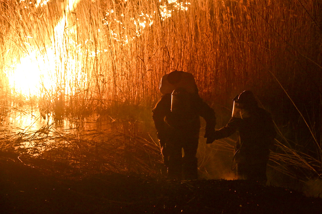 Confronting Wildfires