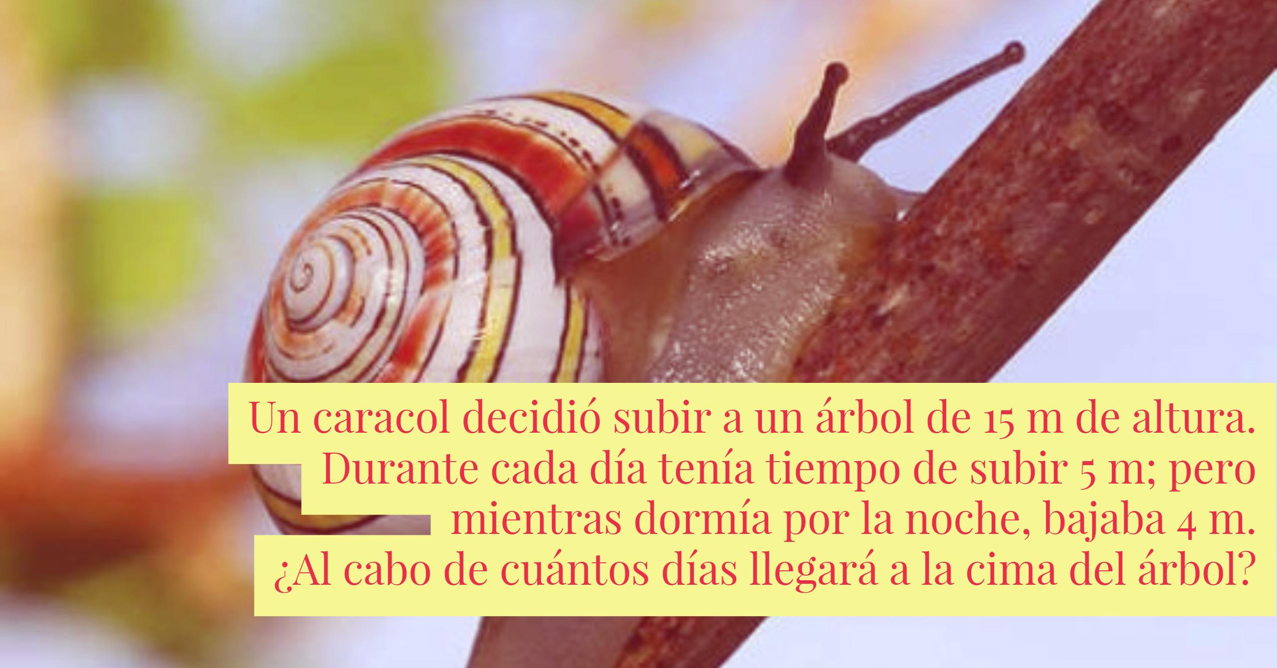 El problema del caracol (ejercicio para pensar)