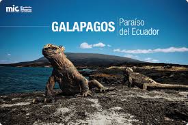 ISLAS GALAPAGOS, SERIAN LA PRENDA DE CREDITO CON CHINA