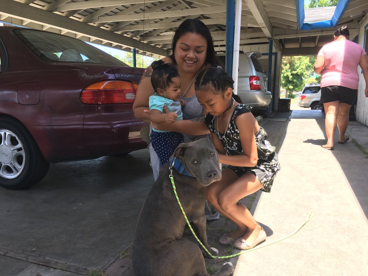 Perro saca a una niña de siete meses de un incendio por el pañal