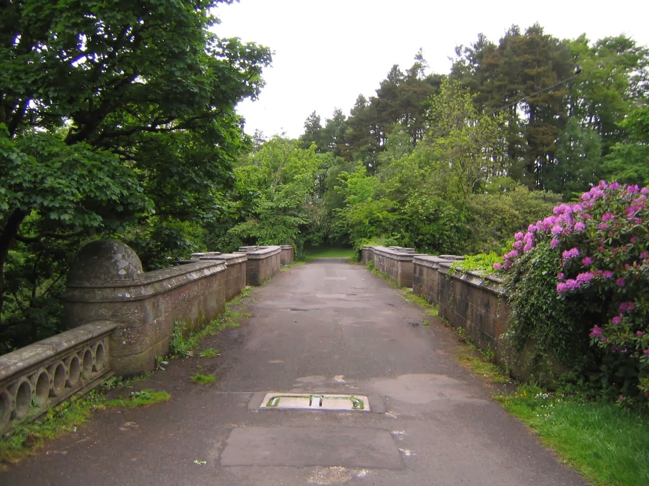 The Legend of the Suicide Dogs Bridge