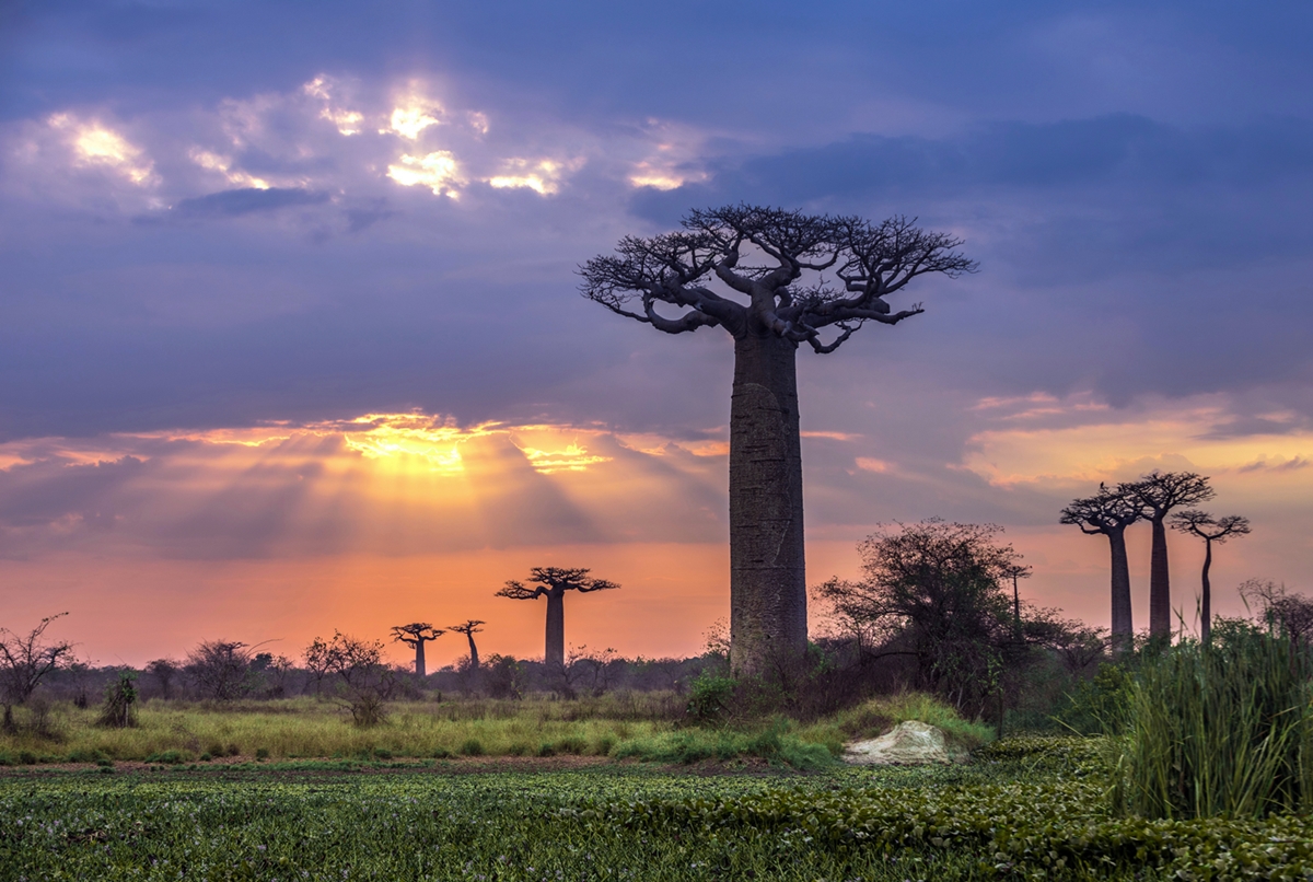 Estos lugares turísticos y naturales están próximos a desaparecer