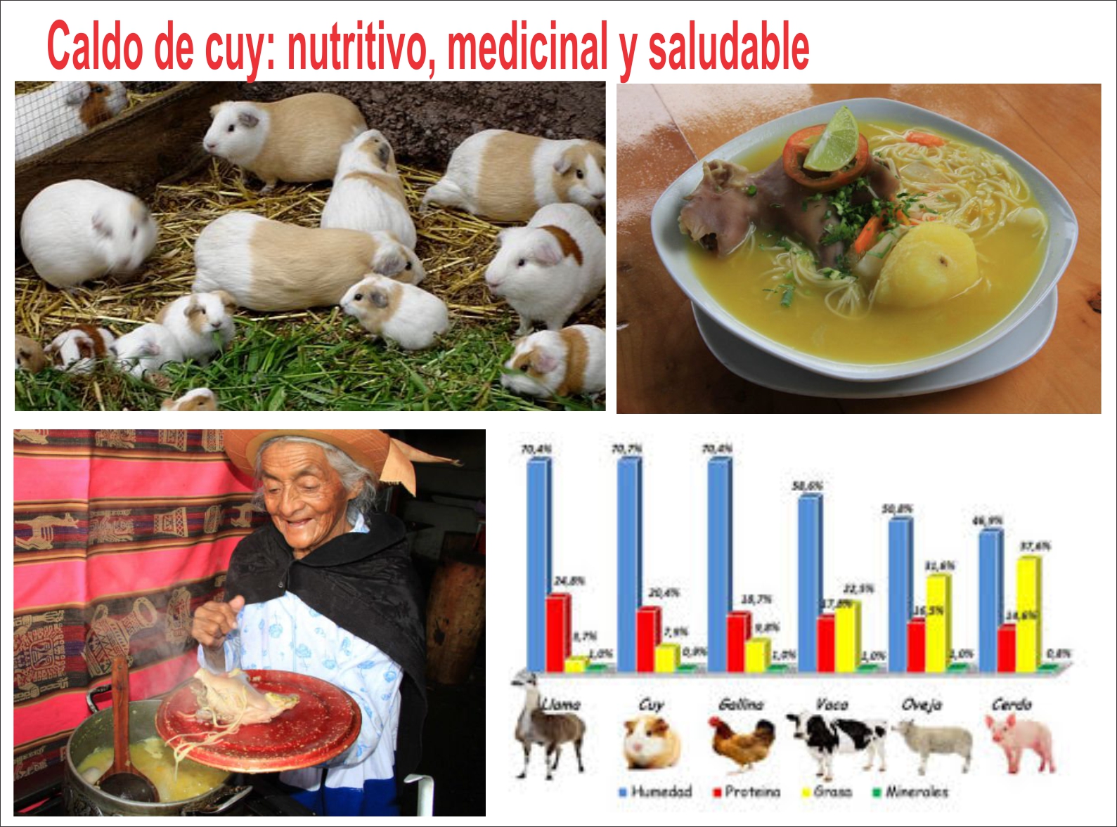 El caldo de cuy un plato nutritivo, medicinal y saludable