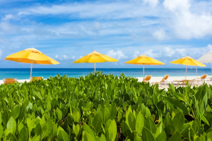 Anguilla un auténtico tesoro en El Caribe