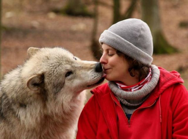 Conoce algunos de los alimentos que jamás deberías darle a tu perro