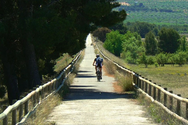 Europa podrá ser recorrida en bici gracias a una red de ciclovías que conectará 43 países