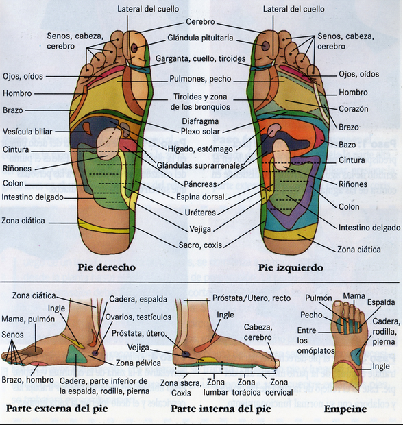 Mejora tu salud masajeando estos 6 poderosos puntos en los pies 