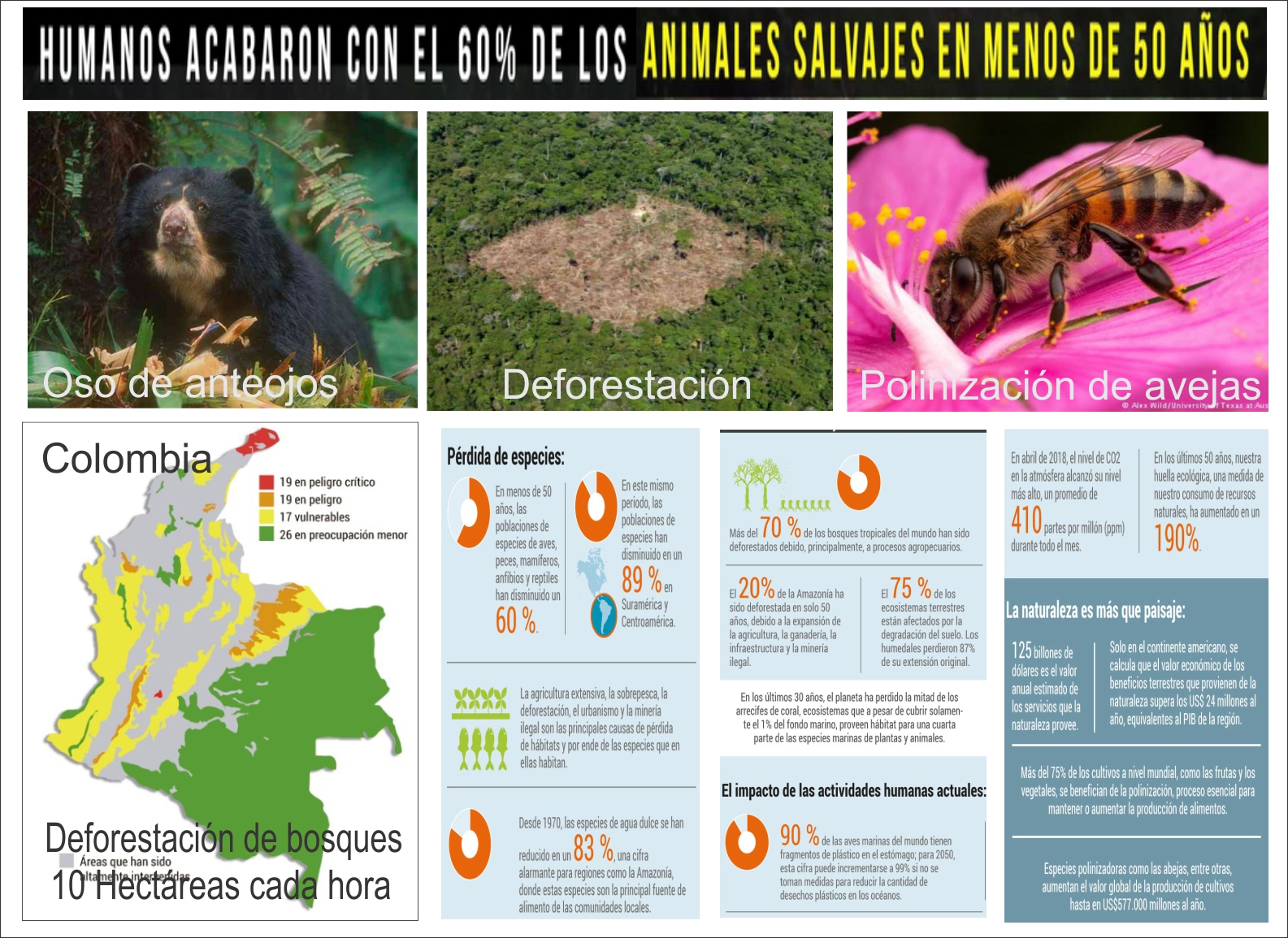 Los humanos acabaron con el 60% de la vida en tan solo 40 años