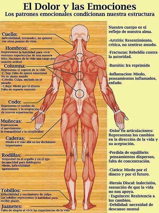 Dolores en el cuerpo: ¿sabes qué representa cada uno? ¡Es impresionante!