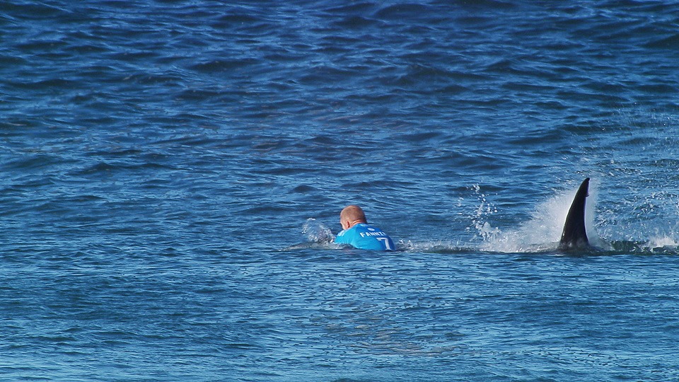 Hero surfer Mick Fanning gives emotional interview after shark attack