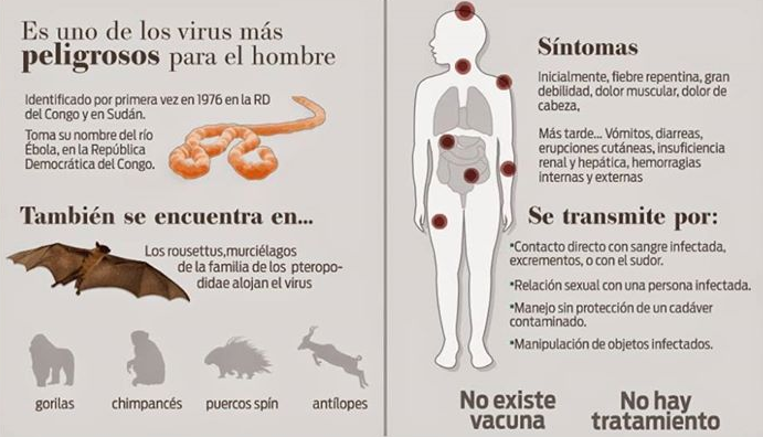 El ébola. El brote fuera de control que preocupa al mundo