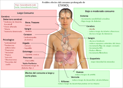 Efectos que causa el alcohol en el organismo 