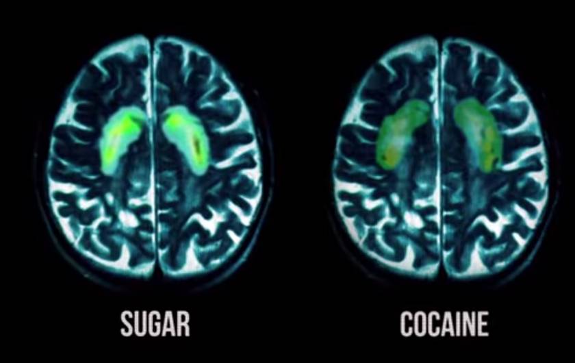 Consumir azúcar provoca los mismos efectos de la cocaína, según estudio