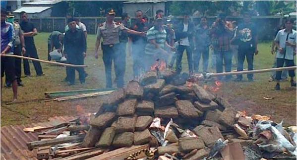 Policía quemó 3 toneladas de marihuana y todo el pueblo se drogó