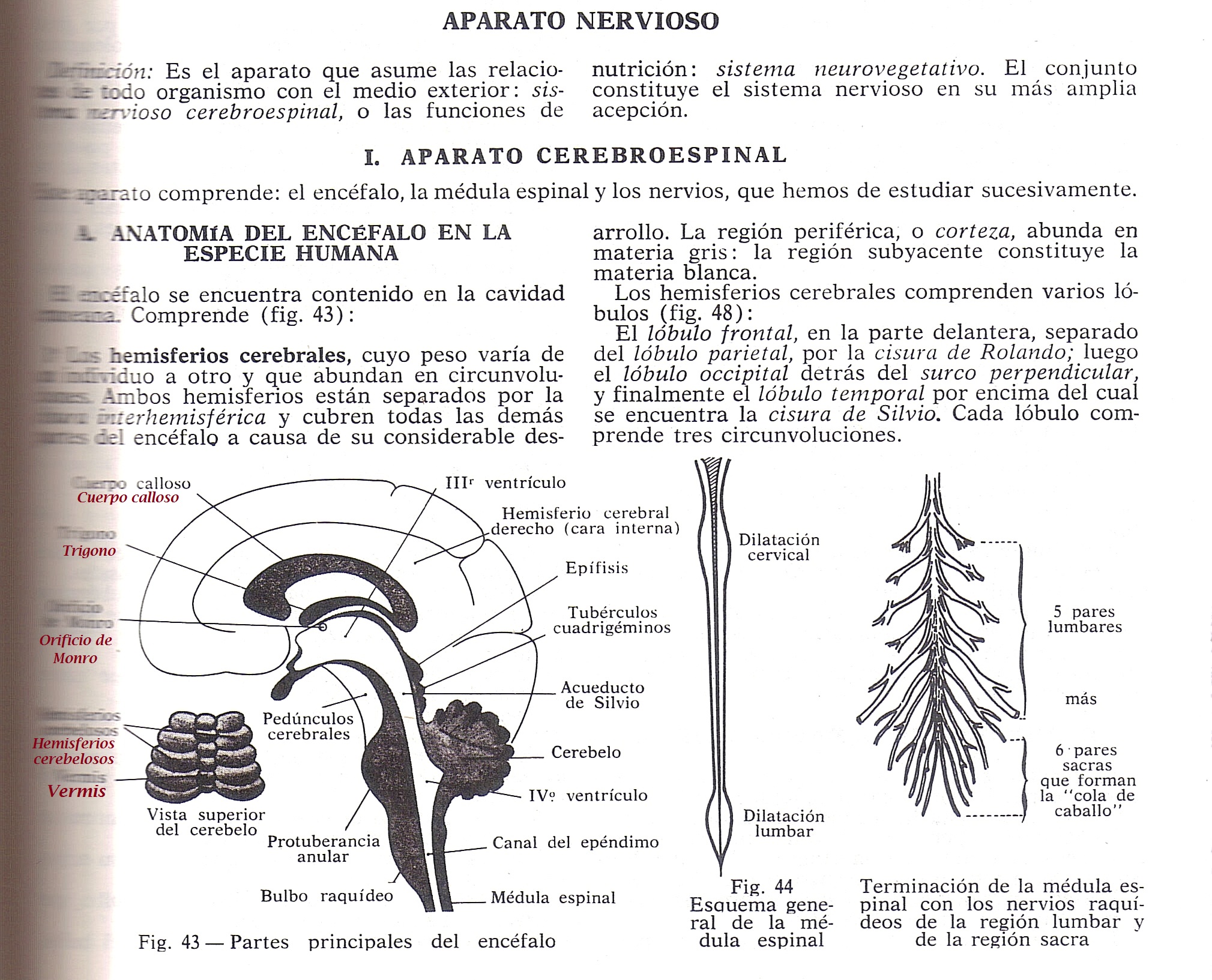 ¡¡APESTAN A MARIGUANA!!