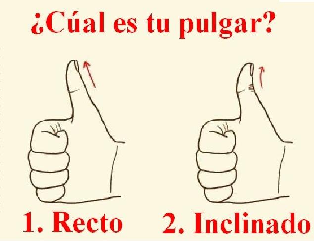 ¡La personalidad oculta en tu pulgar! ¿Qué dice tu pulgar sobre ti y cómo se te da expresarte?