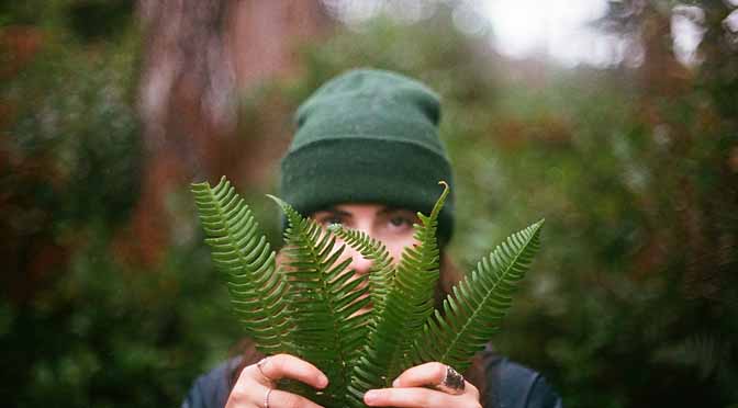 Hiervas y plantas, para la lucha contra los triglicéridos altos.