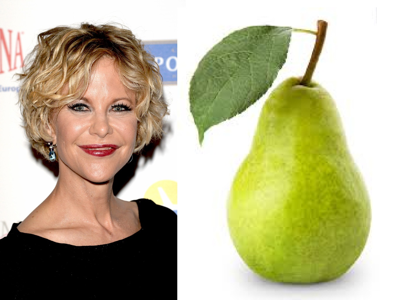 Buscan doble oficial de Meg Ryan