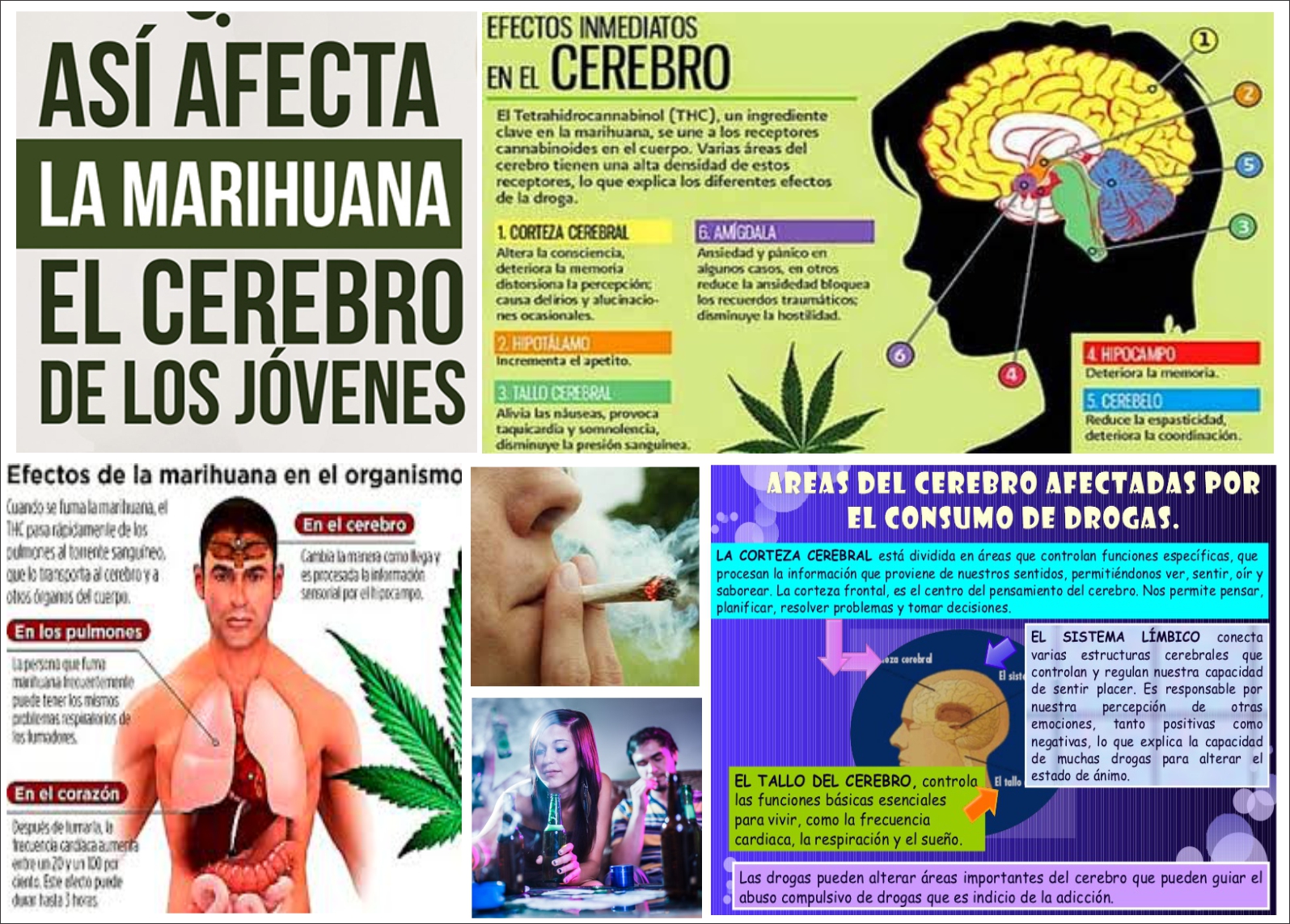  El consumo de marihuana en adolescentes altera su cerebro