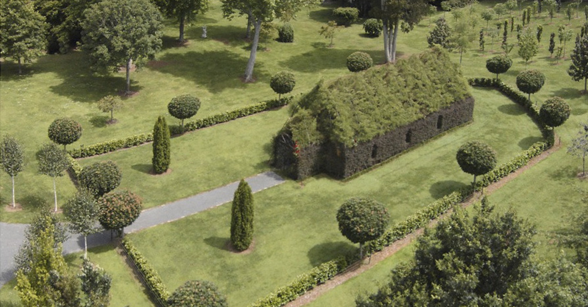 A church made of trees is a place of magic in New Zealand