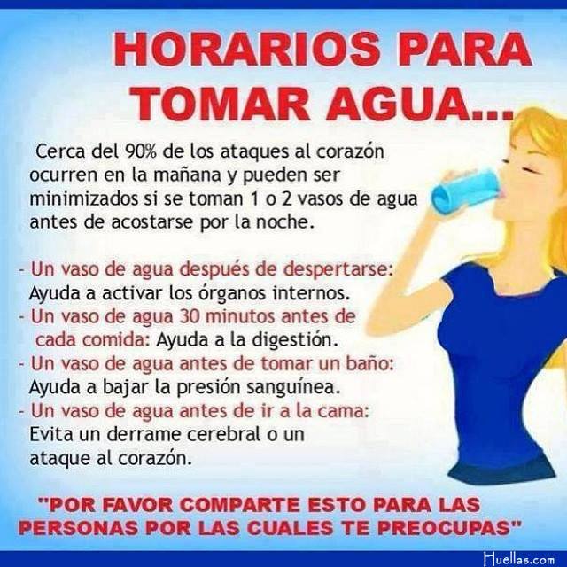 Horarios para tomar agua