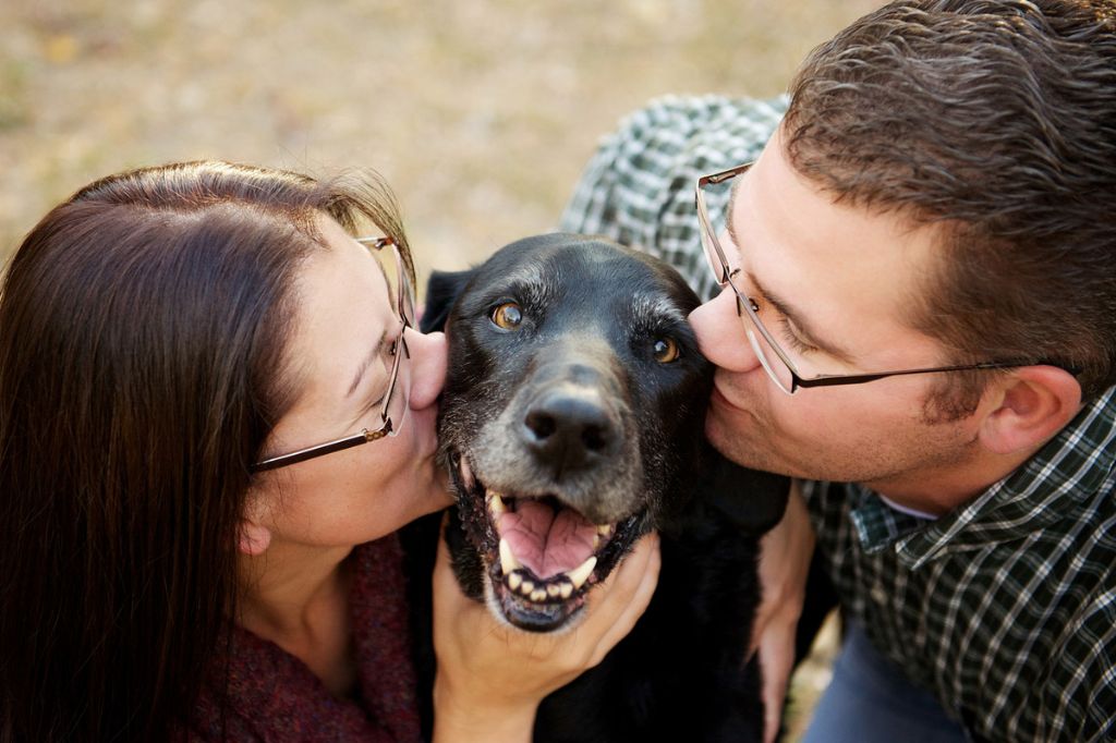 Why is it said that the dog is man's best friend?