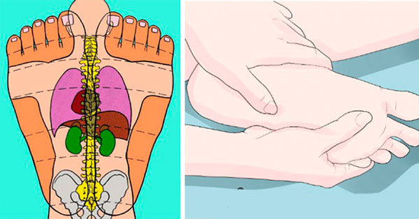 Reflexología: estimule Circulación y Metabolismo en sólo 10 segundos!