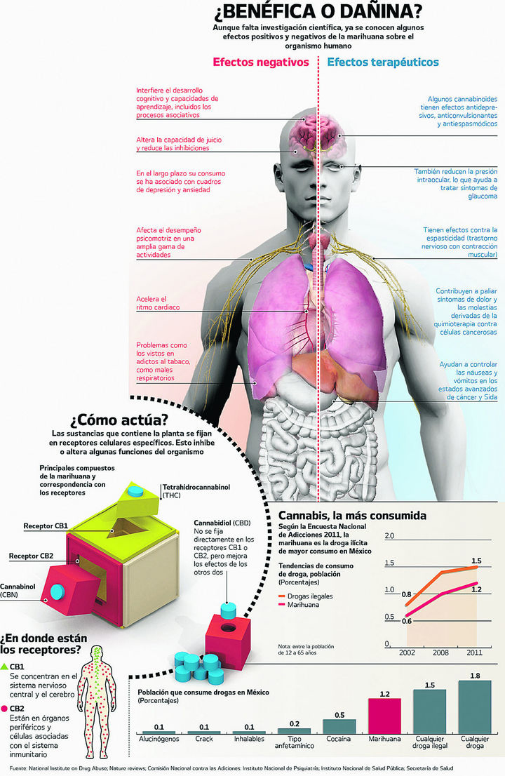 Marihuana: causa daños, causa bondades