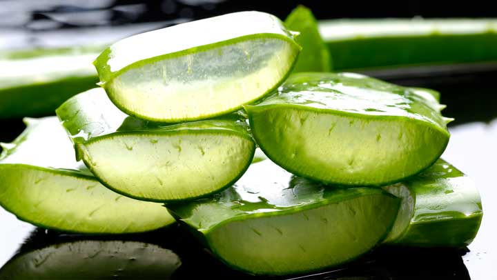 5 razones por la que deberías incluir en tu dieta la sábila o aloe vera, todos los días