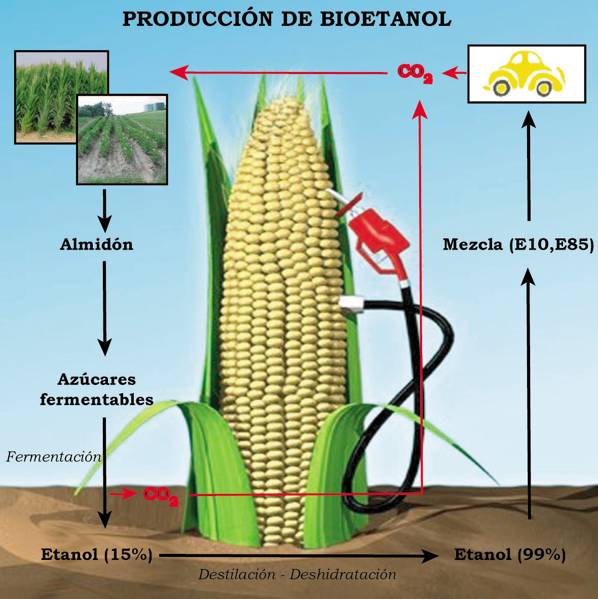 La gran estafa de los biocombustibles