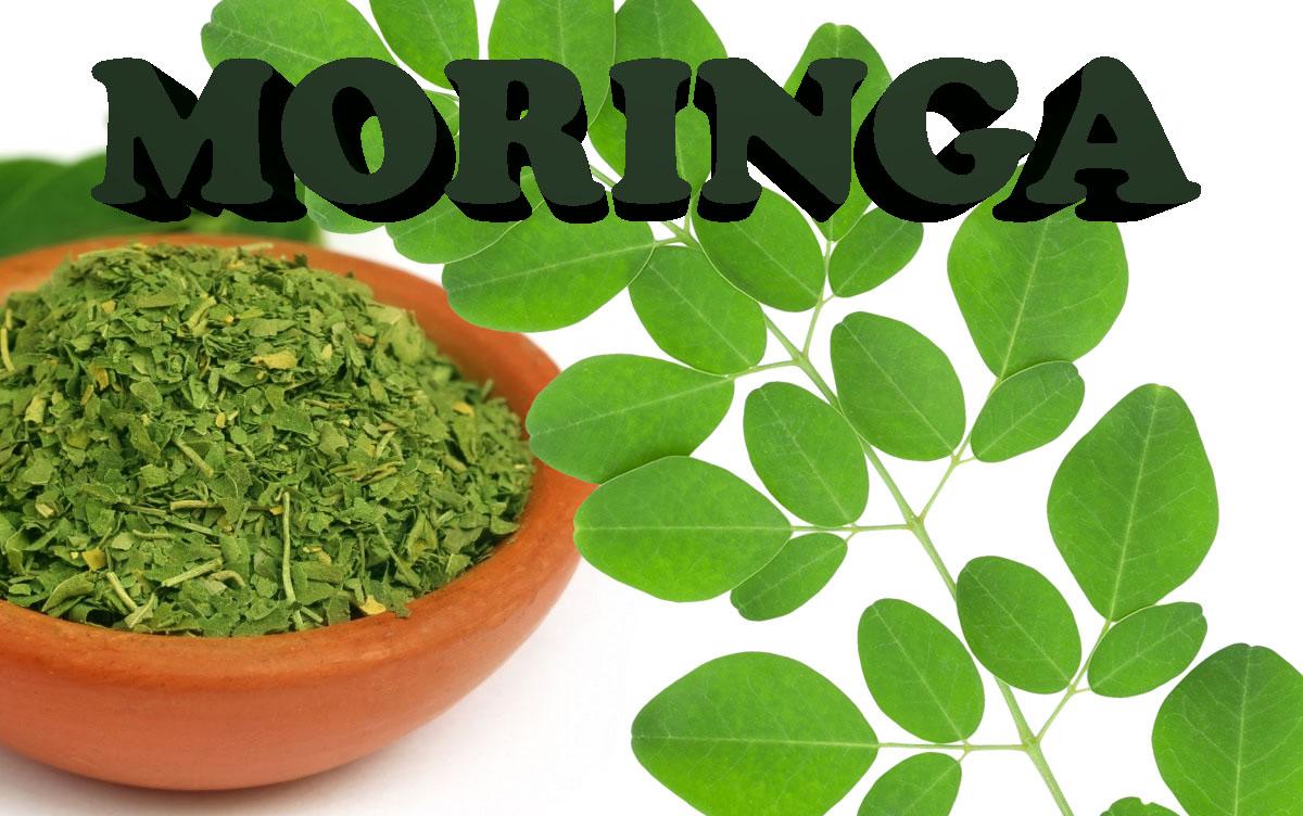 ¿Sabes para qué sirve la famosa "moringa?