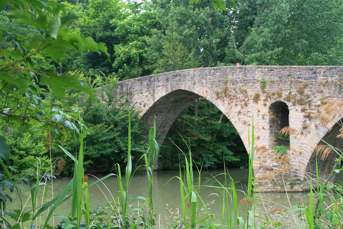 El Camino de Santiago Francés, vive una experiencia única