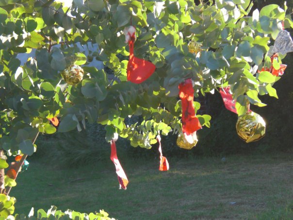 Preparar la navidad desde hogares y comedores para un asilo