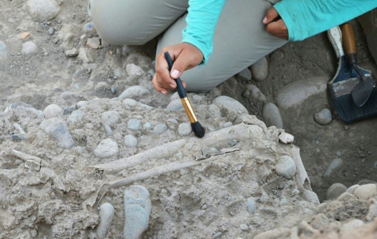 Encuentran en Perú restos del sacrificio de niños más grande de la historia