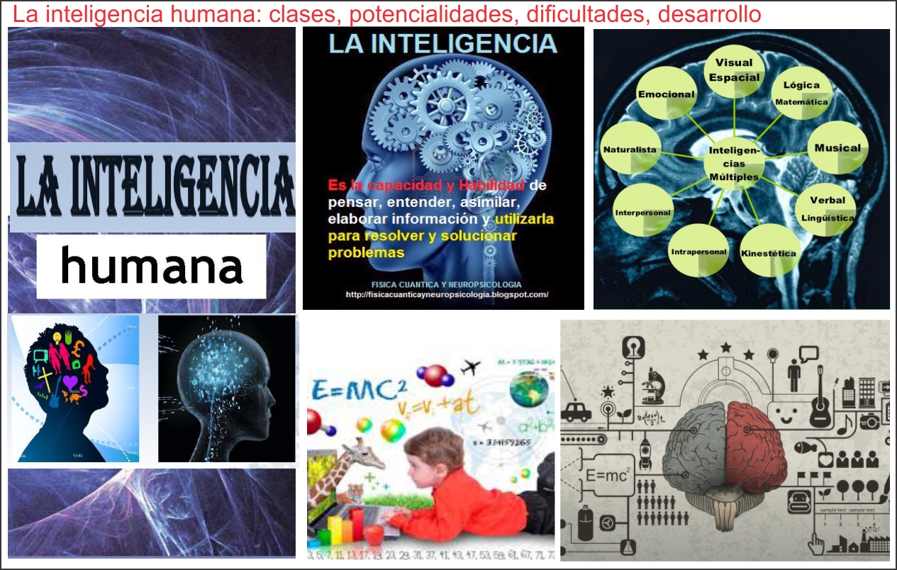  Es usted un ser humano inteligente?