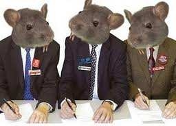 Ratas de alcantarilla