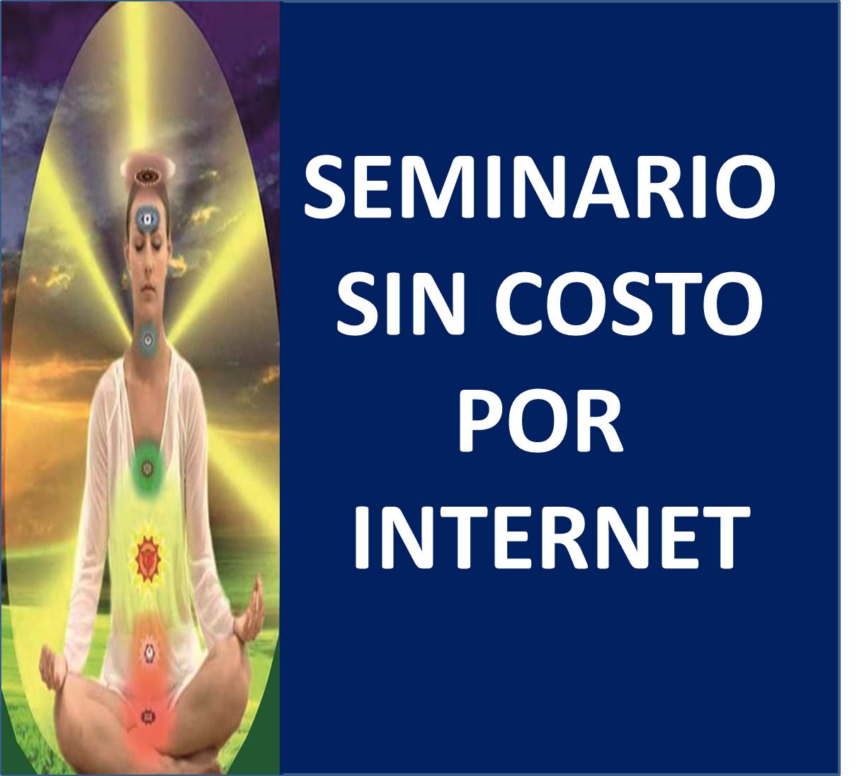 SEMINARIO SIN COSTO POR INTERNET