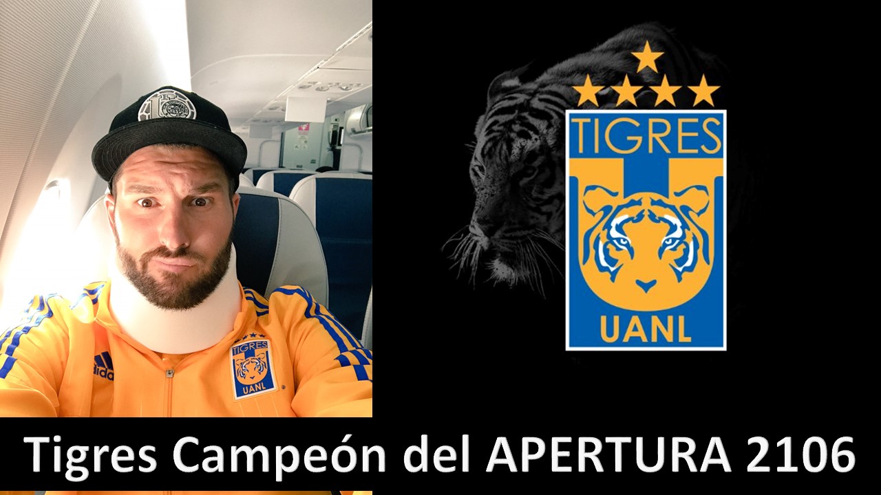 Tigres gana su tquinto titulo y Gignac jugo cual lesión.